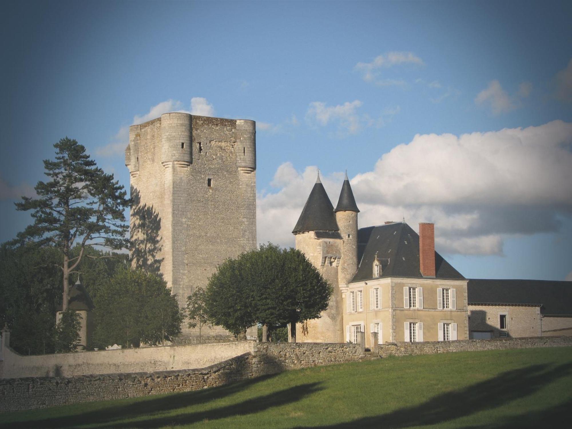 Chateau De Mazieres Tendu エクステリア 写真