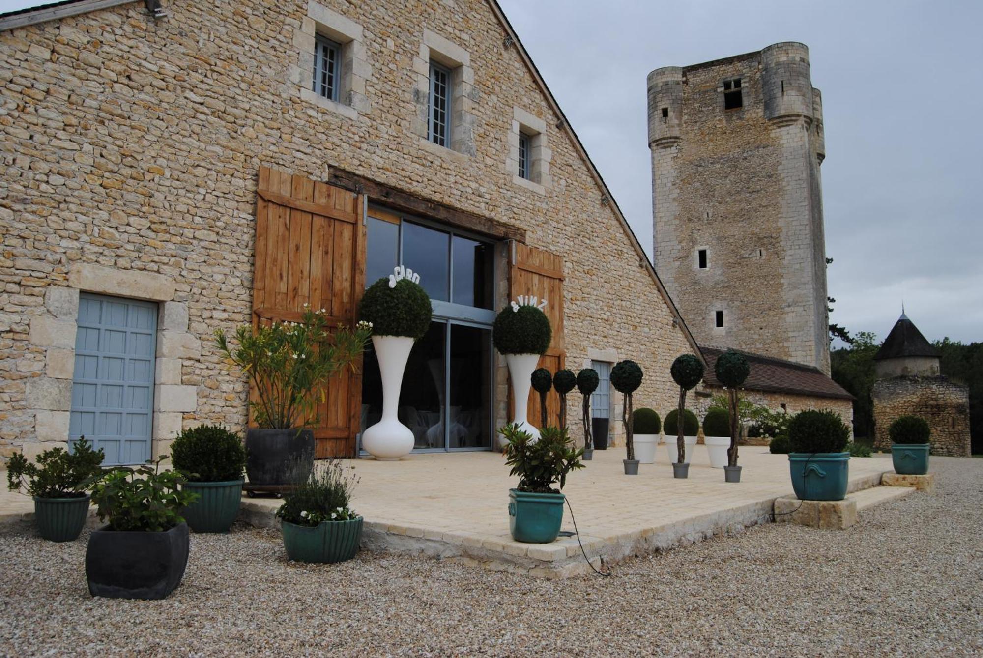 Chateau De Mazieres Tendu エクステリア 写真